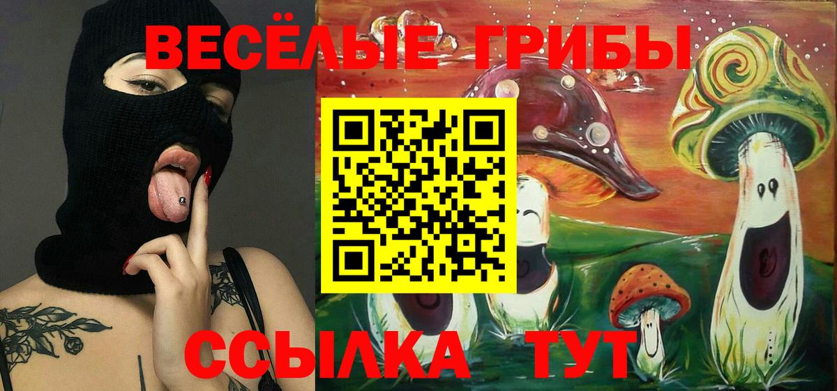 Галлюциногенные грибы мицелий Богданович