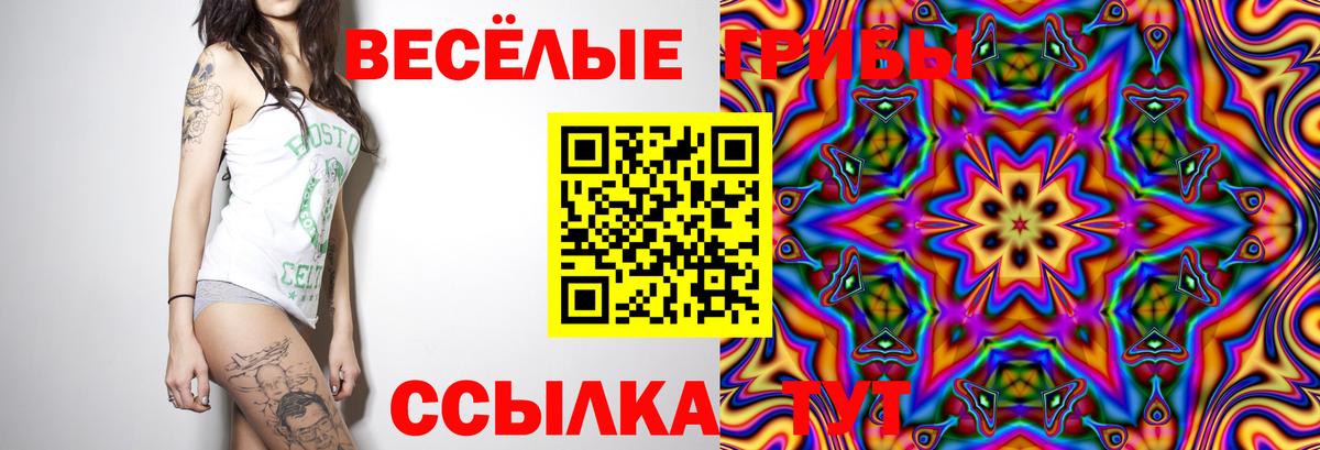 Псилоцибиновые грибы GOLDEN TEACHER  Вход с VPN  Богданович  Галлюциногенные грибы мухоморы 