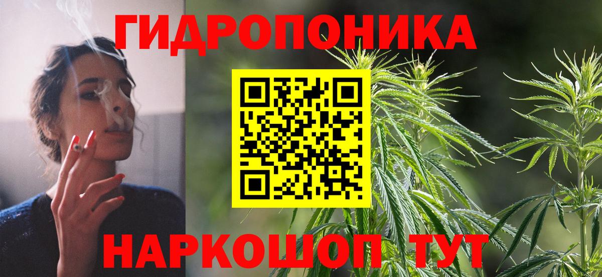 Каннабис MAZAR Богданович